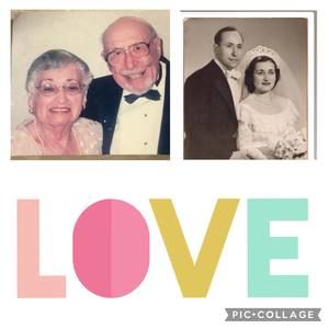 Meet your Posher, Roberta I am trying to close my closet  make me an offer!